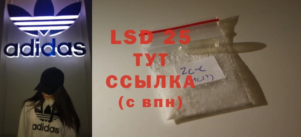 ПСИЛОЦИБИНОВЫЕ ГРИБЫ Алексеевка
