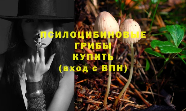 ПСИЛОЦИБИНОВЫЕ ГРИБЫ Алексеевка